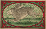 rabbit003