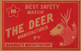 deer016