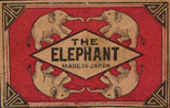 elephant005
