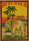 elephant021