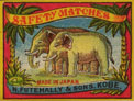 elephant025