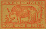 elephant033