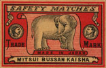 elephant034