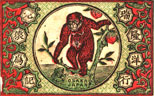 monkey016