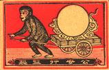 monkey020