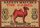 camel003