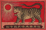 tiger015