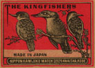 kingfisher002