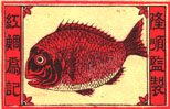 fish017