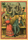 p-elephant026